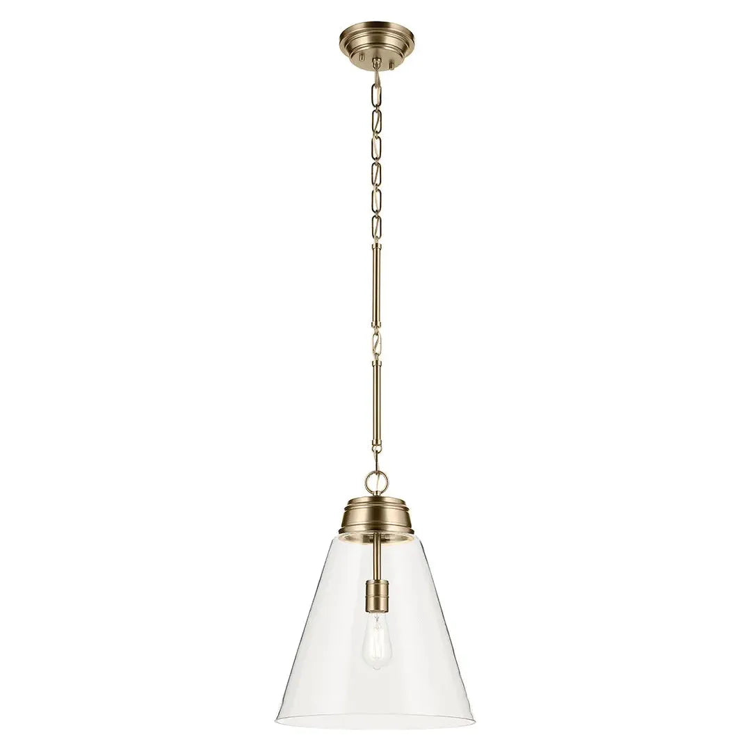 Track lighting for updating office lobbiesMarsailli 19.75" 1-Light Large Pendant