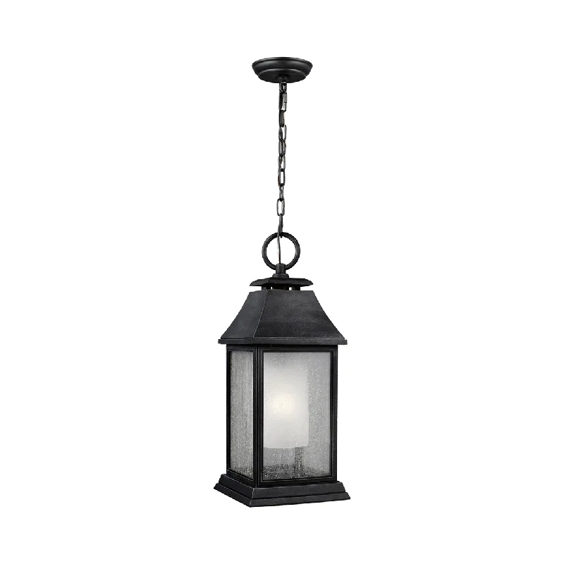 Track lighting for highlighting bookcasesShepherd Outdoor Pendant Light