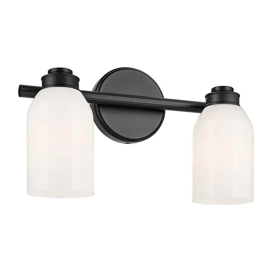 Track lighting for outdoor gardensShae 15" 2-Light Vanity Light