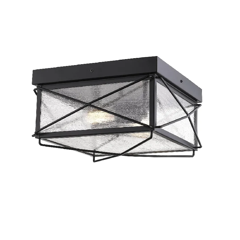 Color - Tunable Industrial Lighting for Special ApplicationsRobinson Two Light Outdoor Flush Mount Color - Tunable Industrial Lighting for Special ApplicationsRobinson Two Light Outdoor Flush Mount