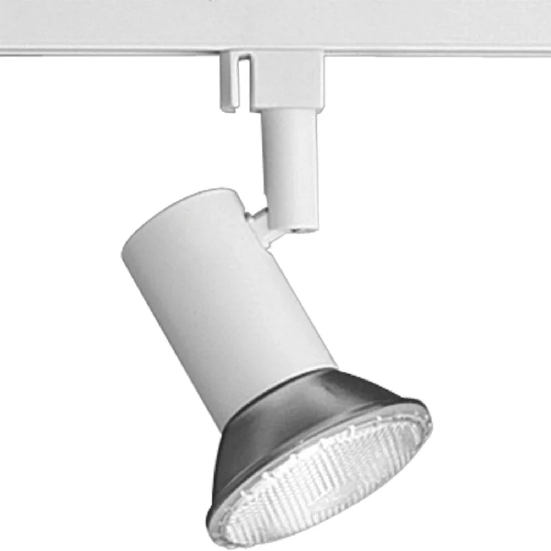 Industrial Lighting for Pharmaceutical ManufacturingTrack Head One Light Track Head