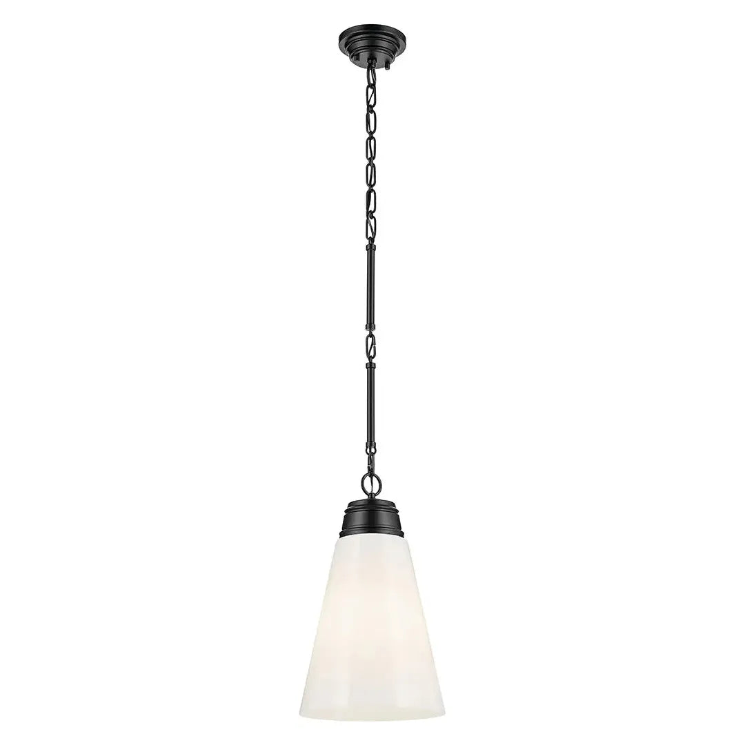 Track lighting with a long - lasting lifespanMarsailli 19" 1-Light Medium Pendant